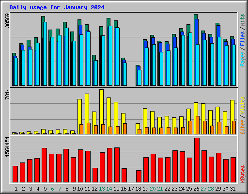 Daily usage for January 2024