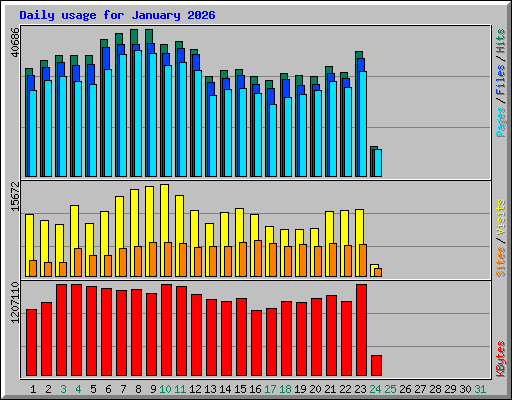 Daily usage for January 2026