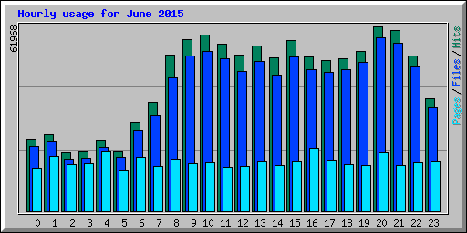Hourly usage for June 2015