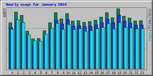 Hourly usage for January 2024