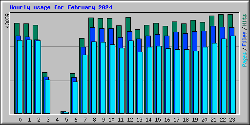 Hourly usage for February 2024