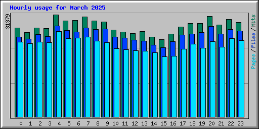 Hourly usage for March 2025