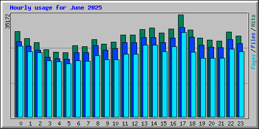 Hourly usage for June 2025