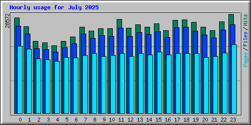 Hourly usage for July 2025
